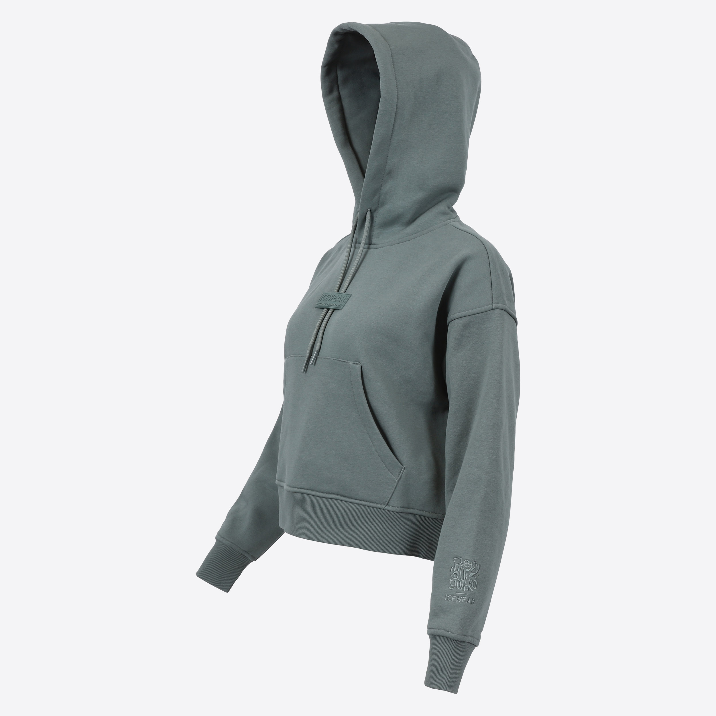 patrikshraun-pbt-cotton-womens-hoodie-iceland-music_189.jpeg